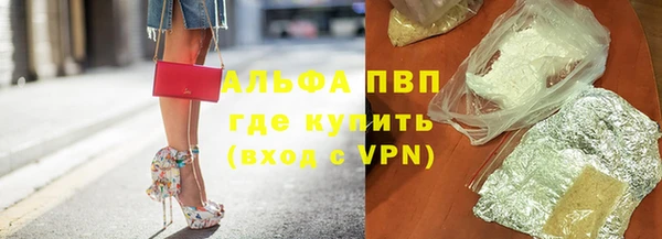 шишки Богородицк