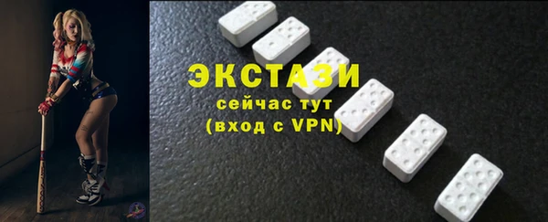 шишки Богородицк