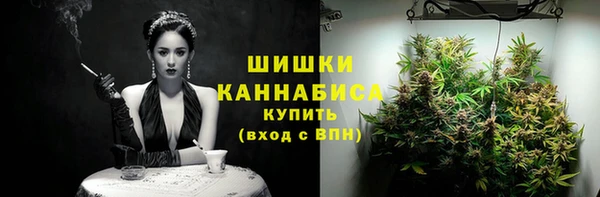 спиды Богородск