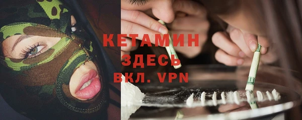 шишки Богородицк