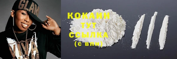 дживик Анжеро-Судженск