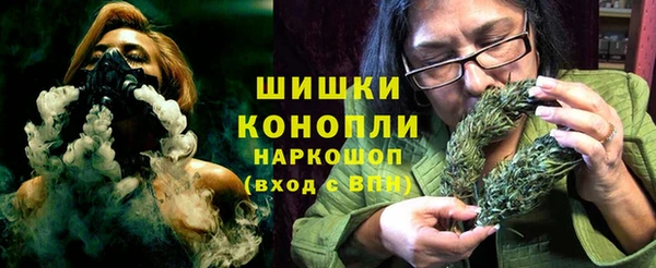 спиды Богородск