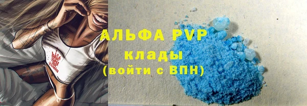 спиды Богородск