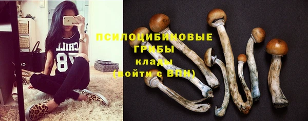 шишки Богородицк