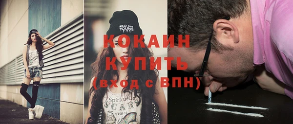 шишки Богородицк