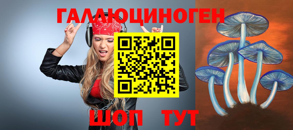Галлюциногенные грибы GOLDEN TEACHER Гатчина